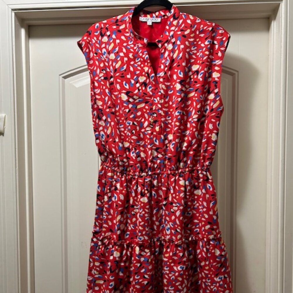 Joy Joy dress